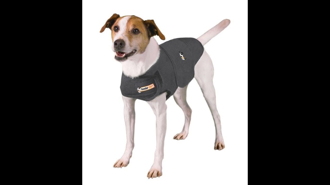 Thundershirt - Anti-Anxiety Calming Vest for Dogs XXS-XXL