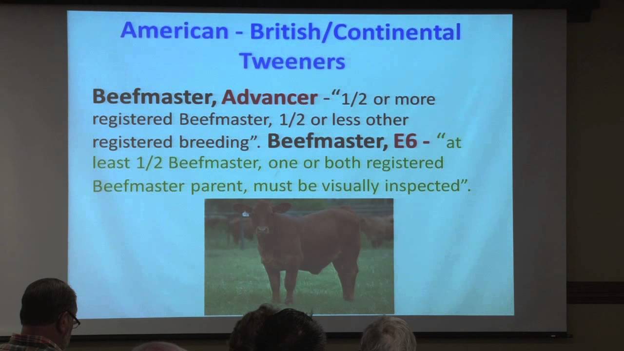 Cattle Breeds Steve Hammack Presents at 2014 Texas A&M Beef Cattle Short Course