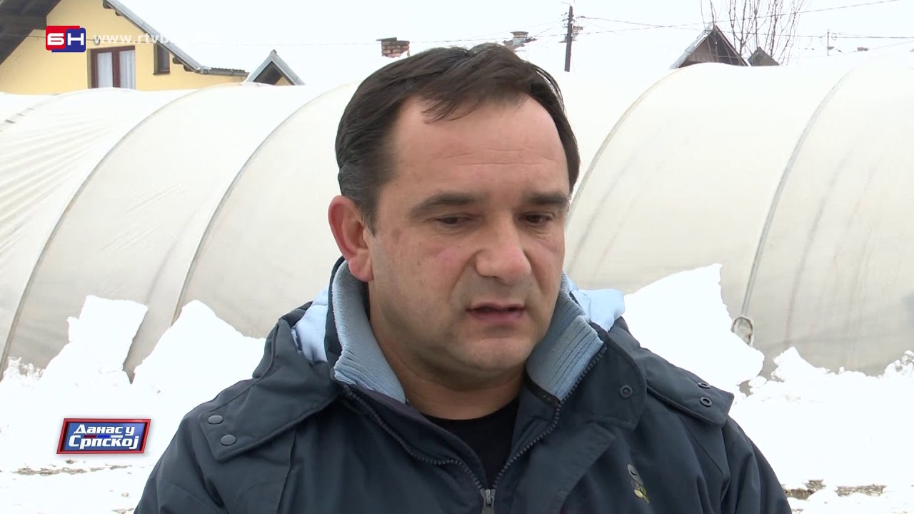 Mladen Lazić iz Golog Brda kod Bijeljine, duže od decenije je povrtar sa najviše plastenika u RS