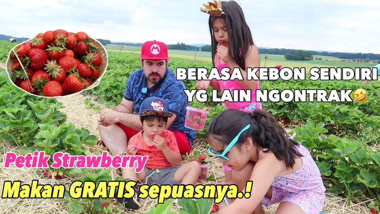 MAKAN SEPUASNYA MUMPUNG GRATIS.! ANGGAP AJA KEBON SENDIRI🤣