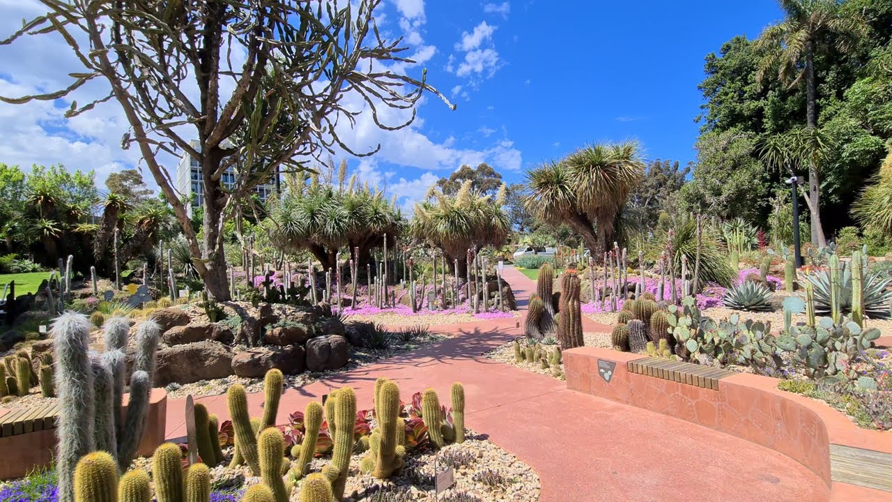 Royal Botanic Gardens Melbourne Australia Walking Tour 4K