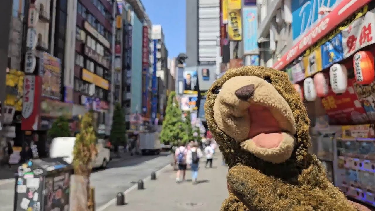 Snug Goes to Japan!