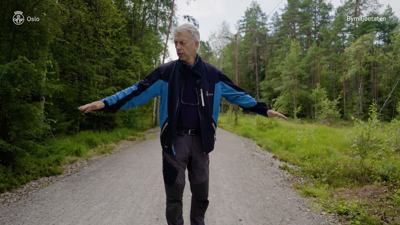Bedre overvannsh&aring;ndtering &ndash; en bedre m&aring;te &aring; bygge skogsvei