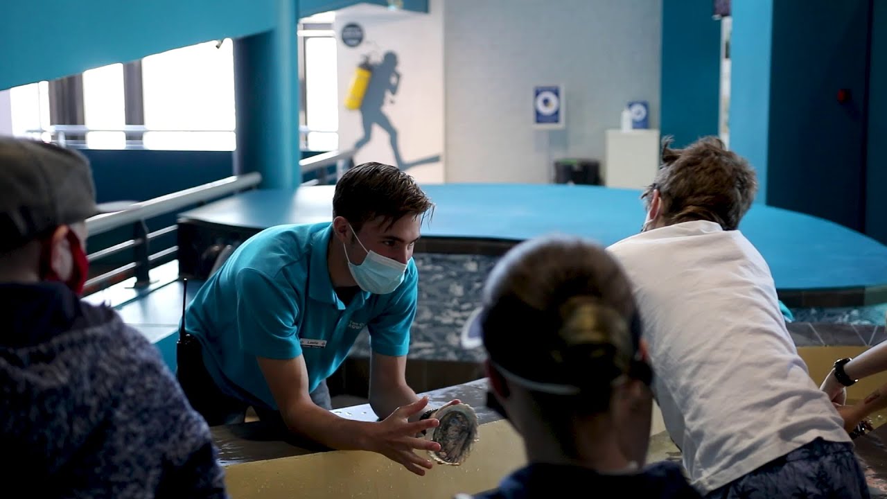 What's it like to be a volunteer at the Two Oceans Aquarium?