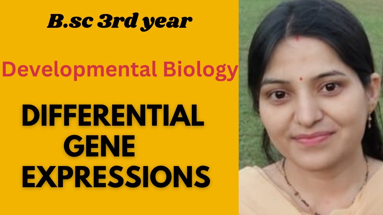 Differential gene expression in developmental biology b.sc 3rd year. Differentiation.#development