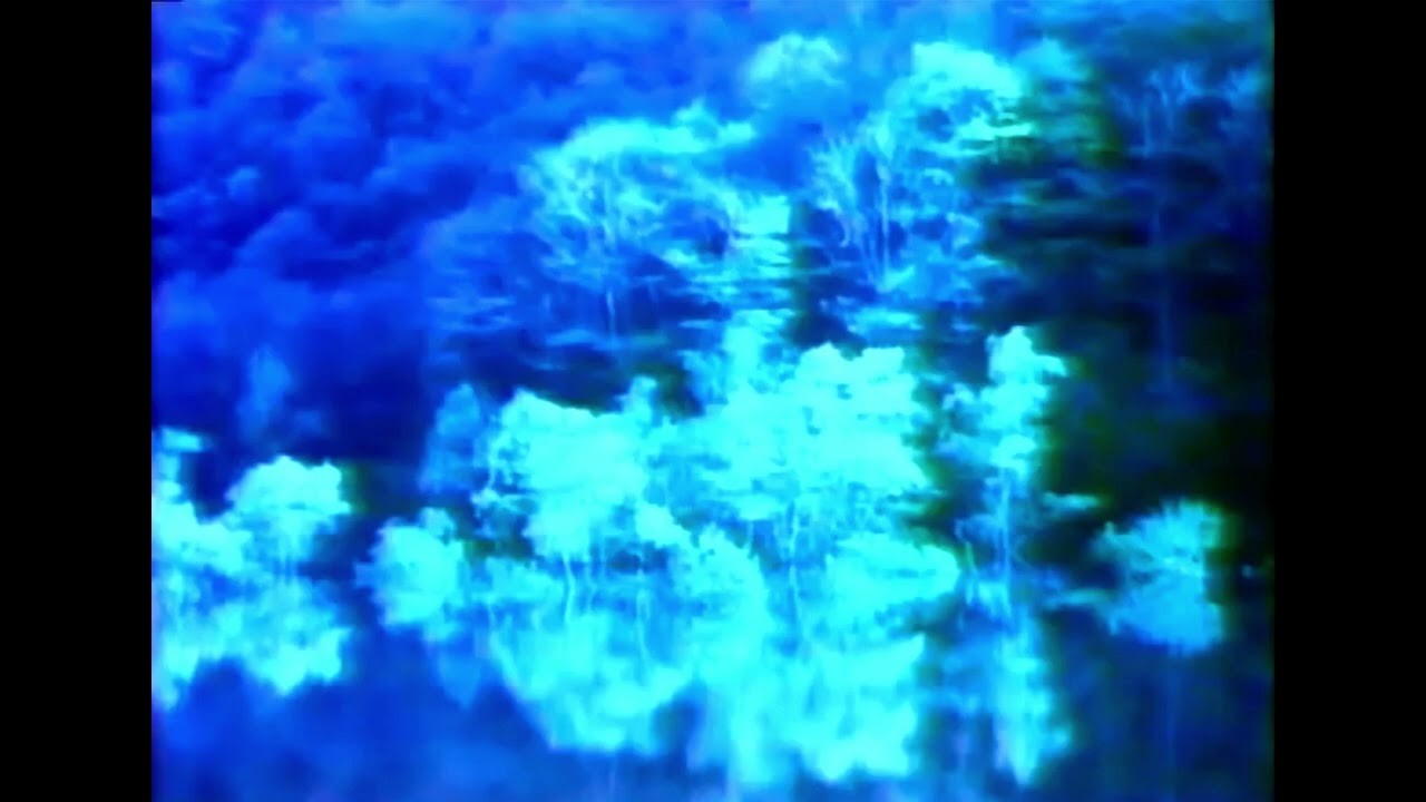 セルシオ - 記録 [full album]