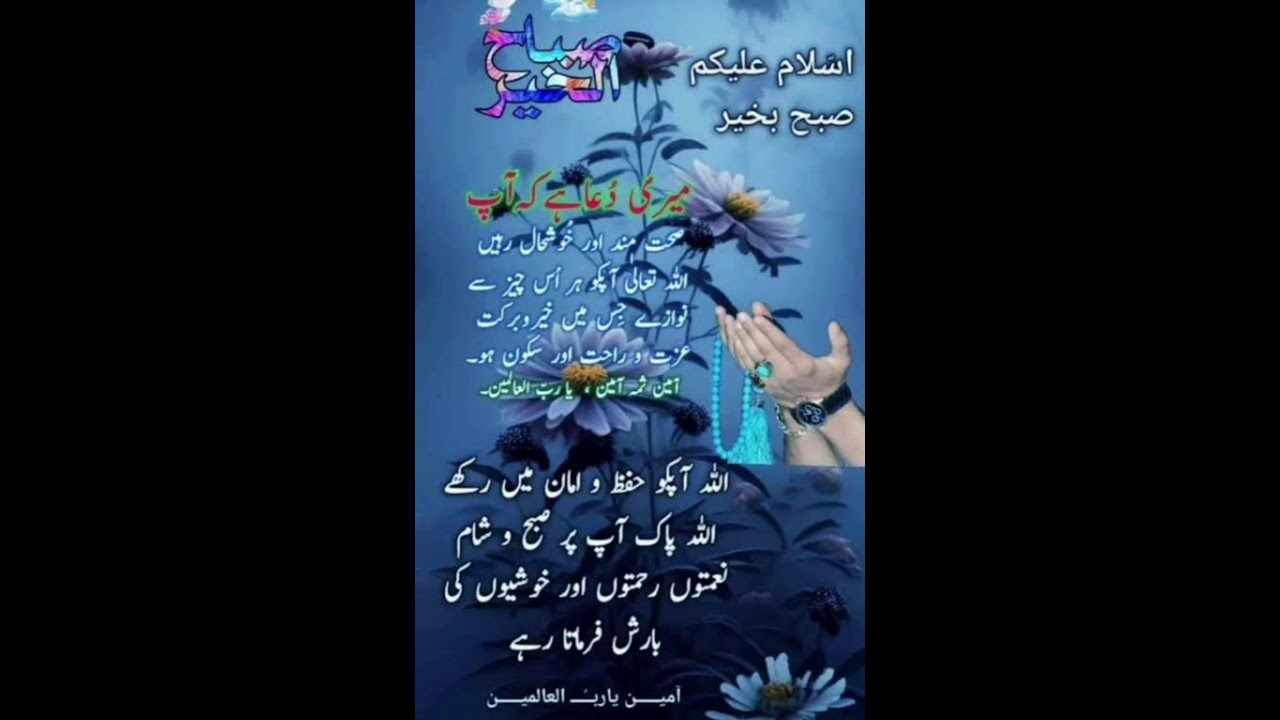 Assalamualaikum ✨✨#shortsfeed  #muhammadﷺ  #shortsfeed  #viral #shorts #shortsfeed