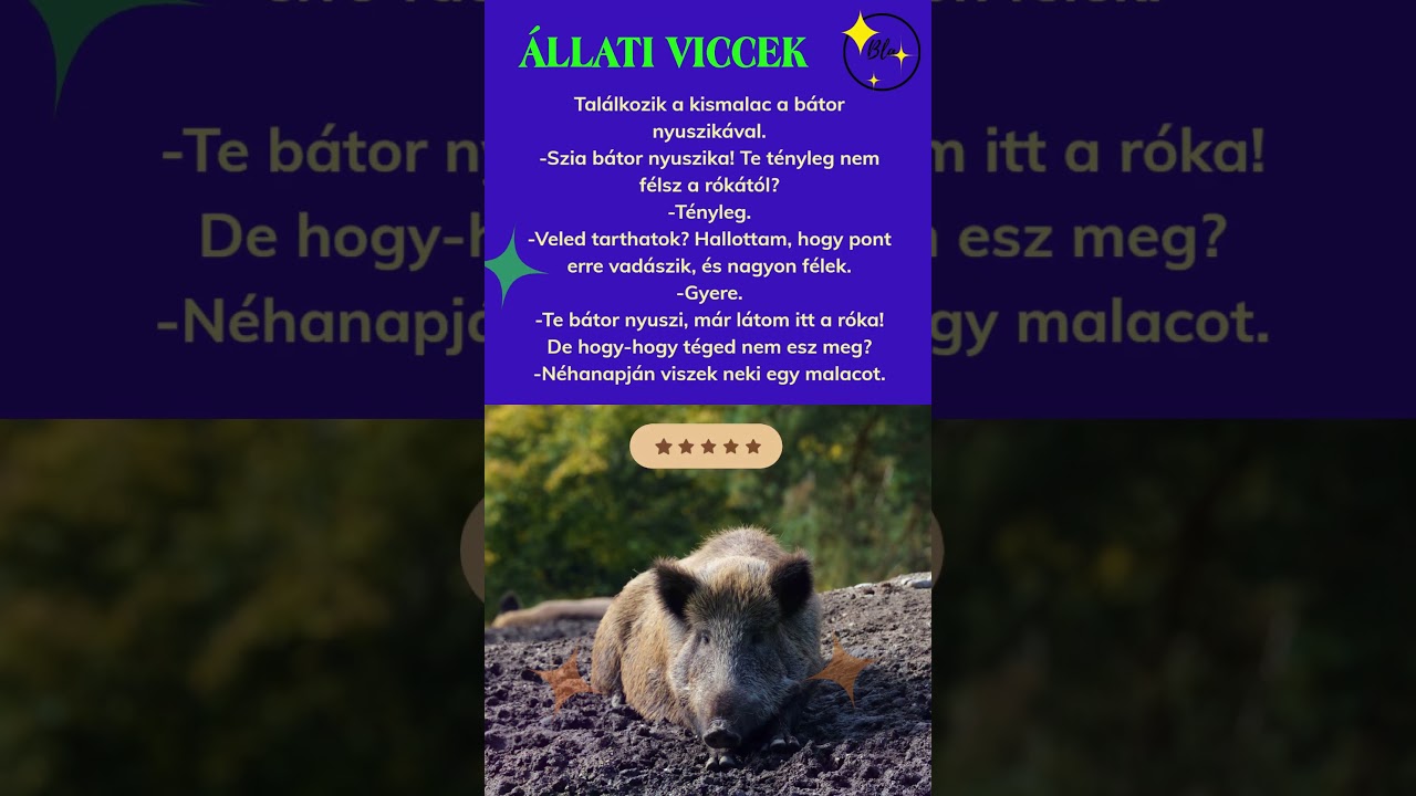 Tal&aacute;lkozik a kismalac a b&aacute;tor nyuszik&aacute;val #tiktok #vicces #aranyos #vicc #po&eacute;n #nyuszi #vicces #po&eacute;n