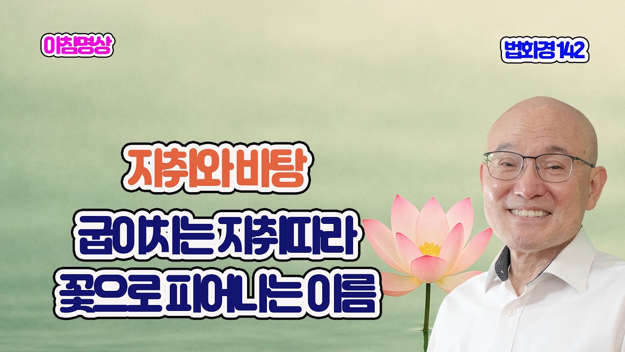 2176. 굽이치는 사연마다 꽃으로 피어나는 이름. 법화경 142. 보문품 01.  2-484