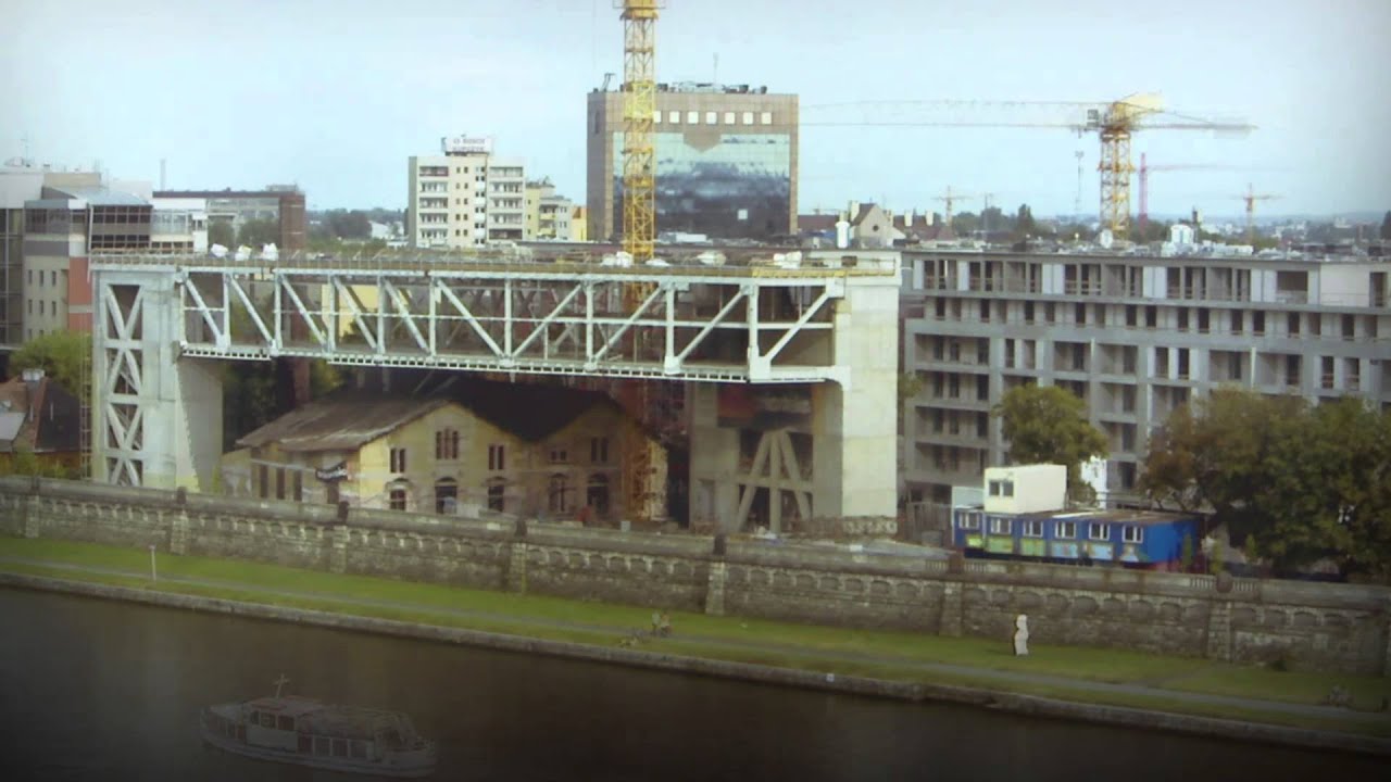 Rosnąca Cricoteka