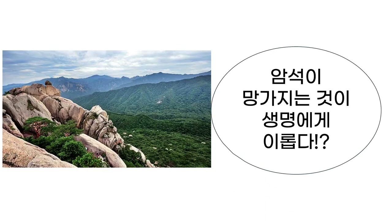10차시 - 풍화와 토양의 생성 [중2 과학]