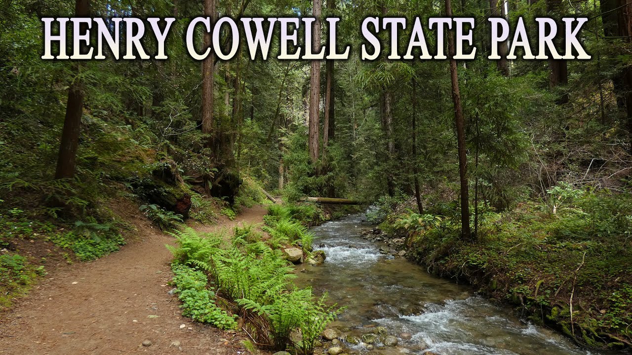 Henry Cowell Redwoods State Park - Hiking To 