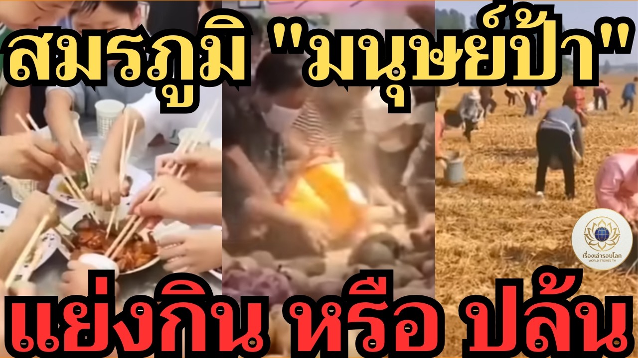 วิเคราะห์ยุทธการ 