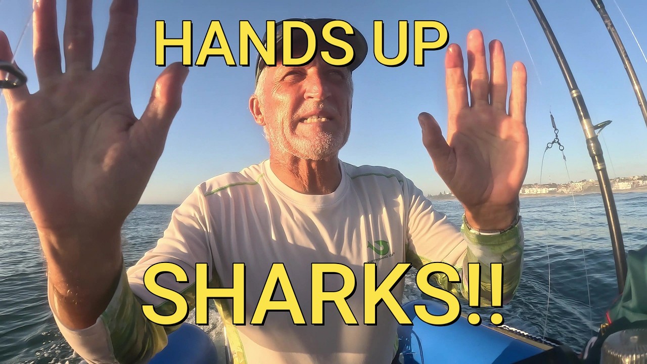 Sharks in J Bay - Hands Up!!