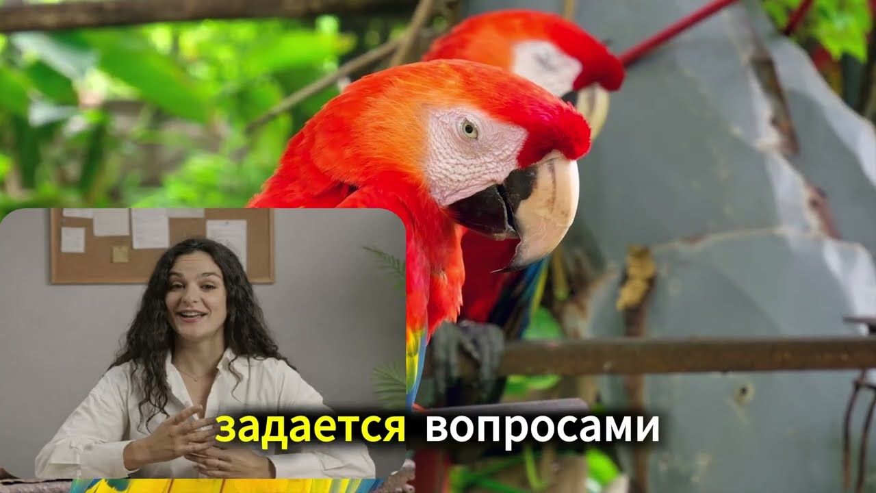 5 психологических уловок, чтобы любая женщина начала за вами ухаживать | Женская психология