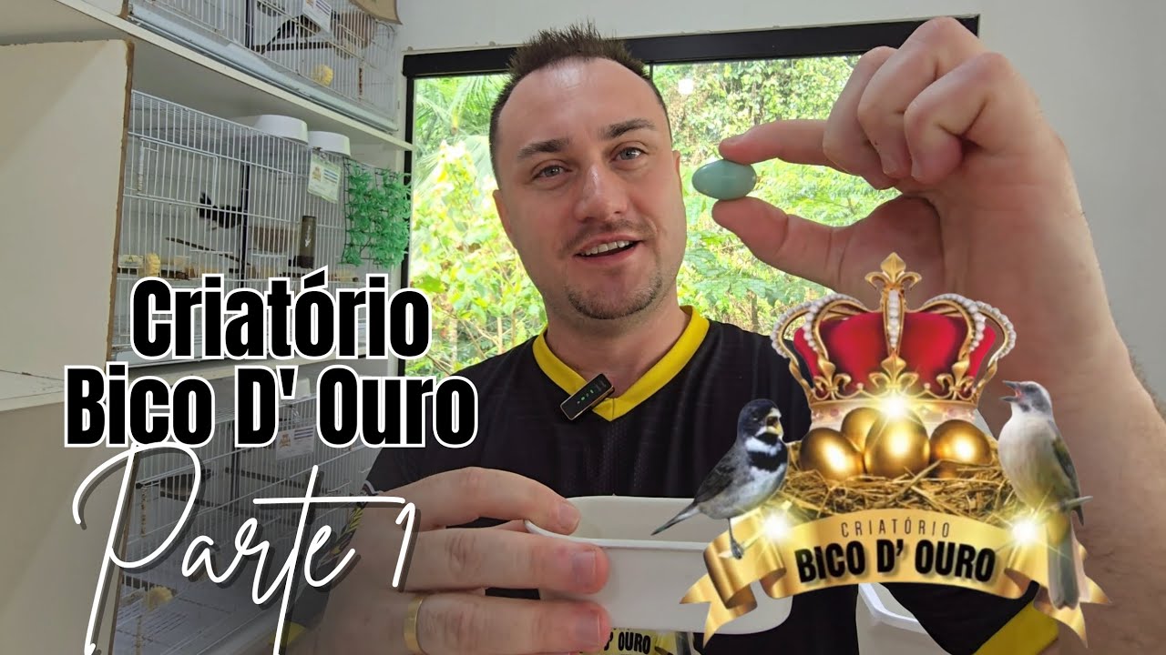 Visita ao Criatório Bico d’Ouro: O Berço dos Campeões - Parte 1.
