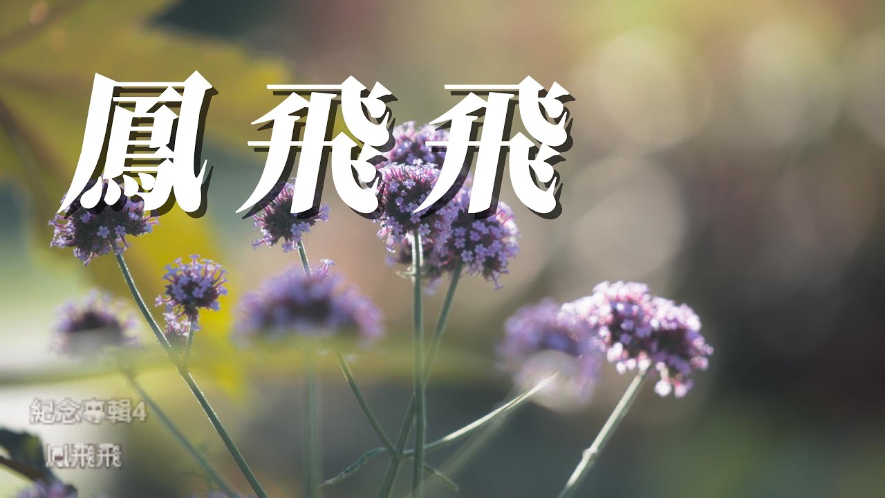 (鳳飛飛)紀念專集. VOL 4✌️謝謝😇😇😇😇😇😇👀👀👀