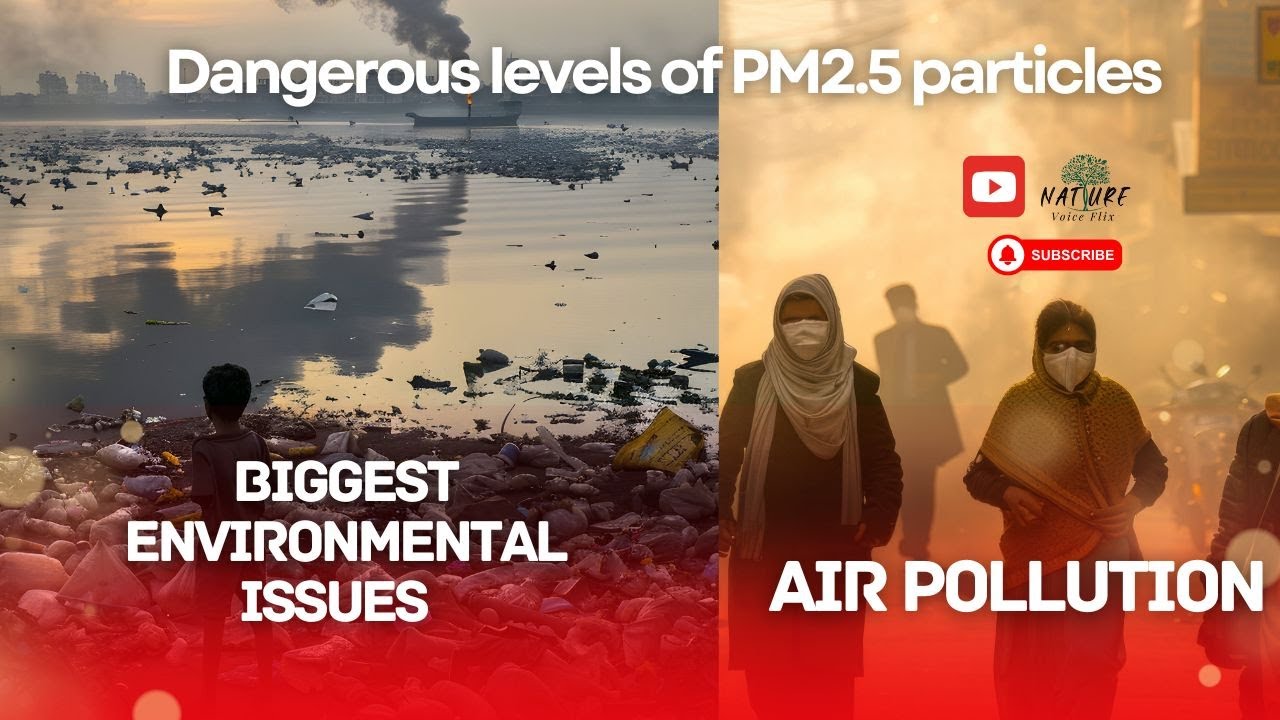 Air Pollution in India: The Growing Environmental Crisis 🌍 | @naturevoiceflix