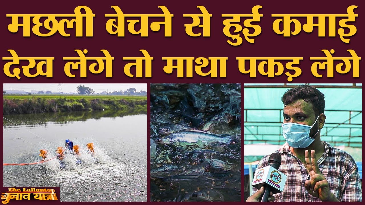 Bihar में Fish Farming कर रहा ये लड़का विदेश से क्यों लौट आया? Assembly Elections 2020 | Arnav Vatsa