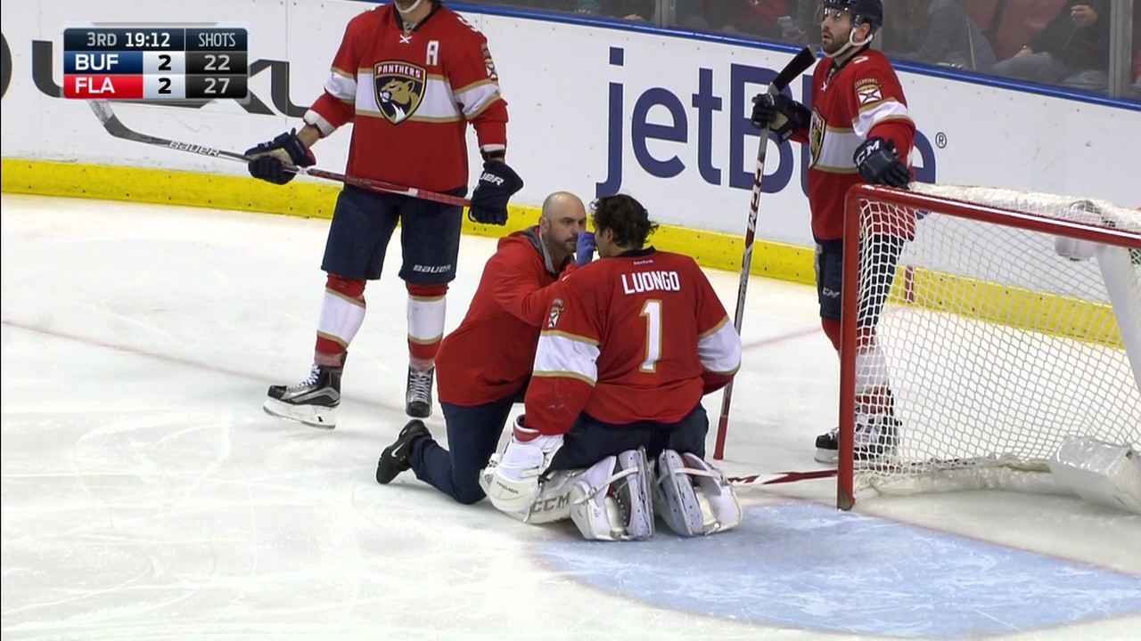 Luongo checked out after taking stick to the face
