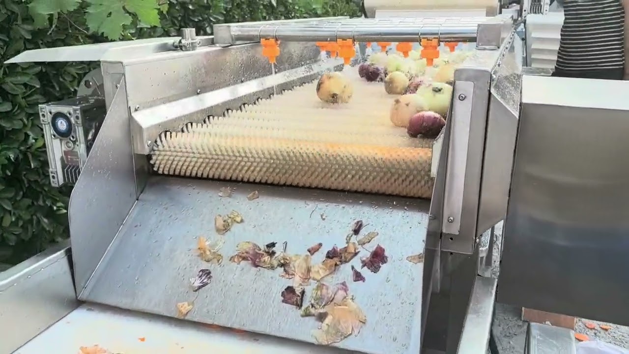 Onion peeling machine