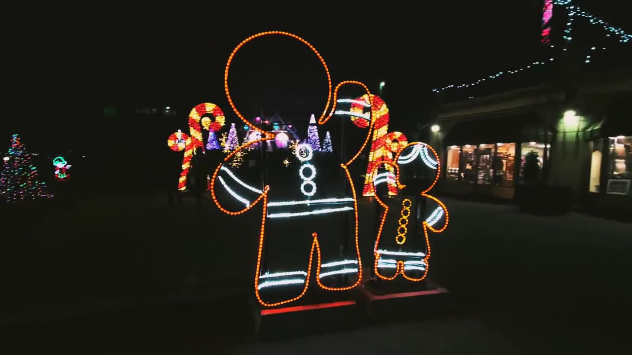 Winter Festival Of Lights  Niagara Falls