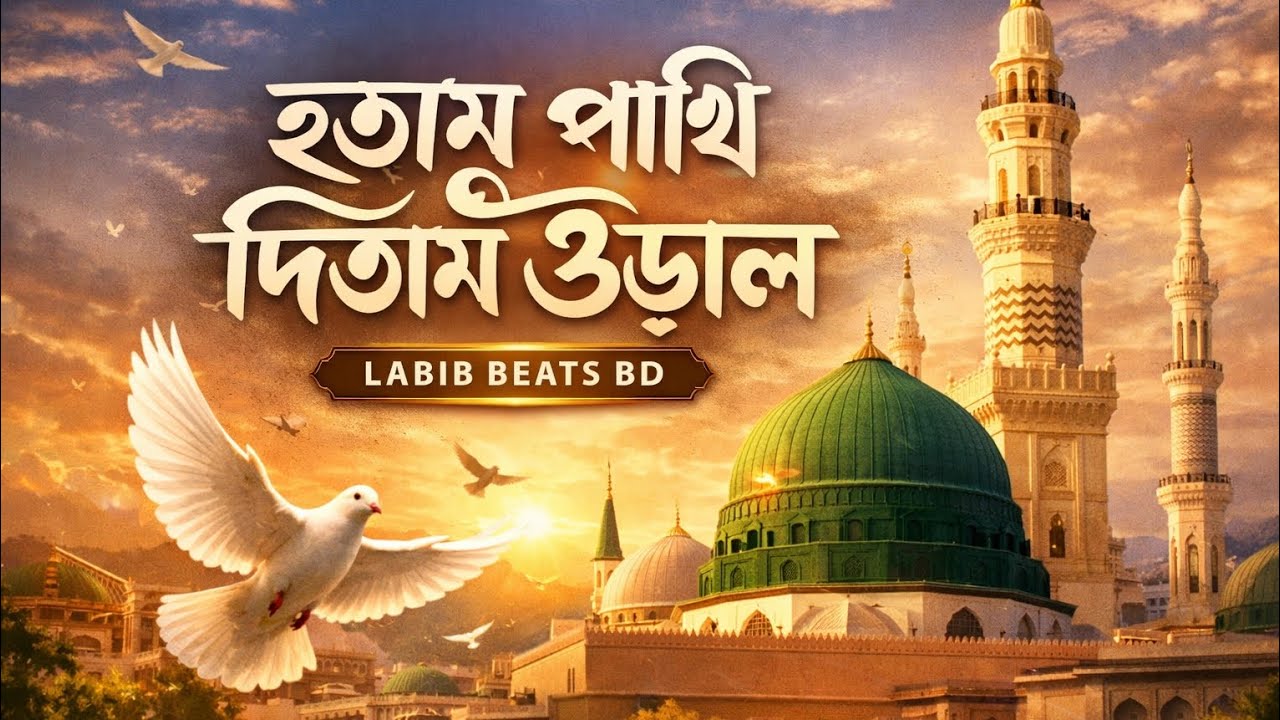  হতাম পাখি দিতাম উড়াল 🕊️ | Emotional Islamic Nasheed 2026 | Labib Beats BD | Madinah Love Song.