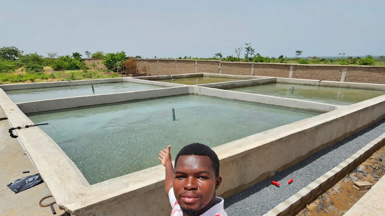 PROJET PISCICOLE _ BASSINS PISCICOLES