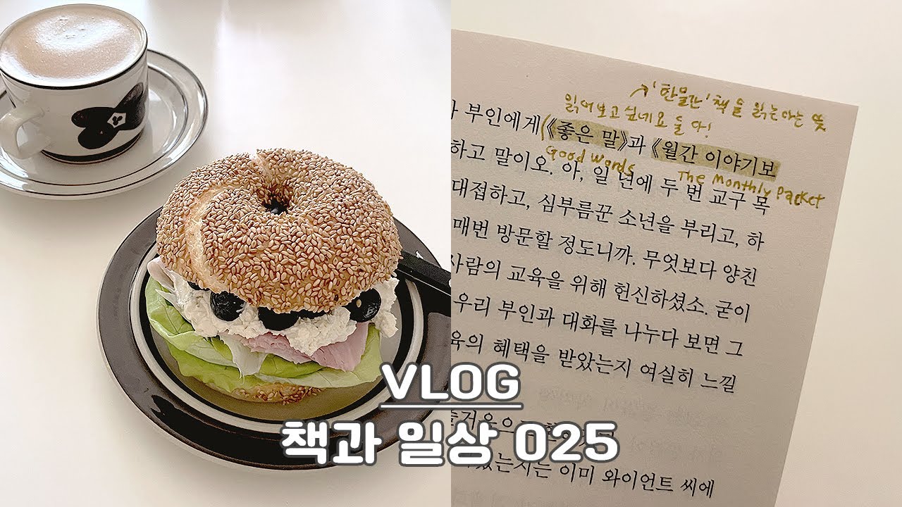 VLOG | 책과 일상 025