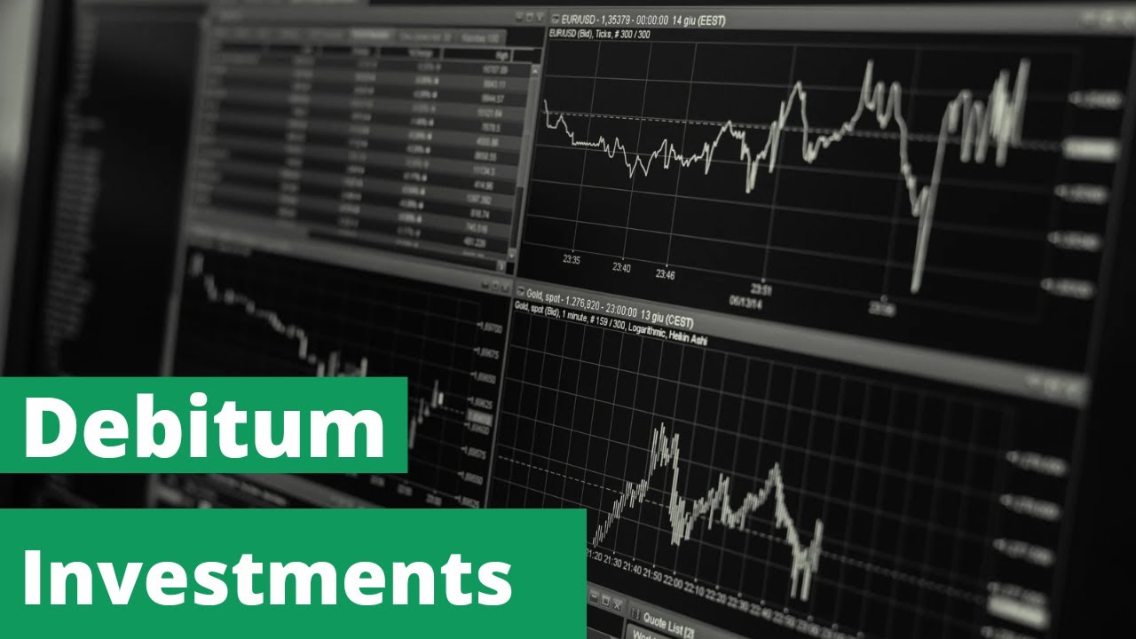 Debitum Investments P2P Platform Review: my Results After 6 Months of Investing