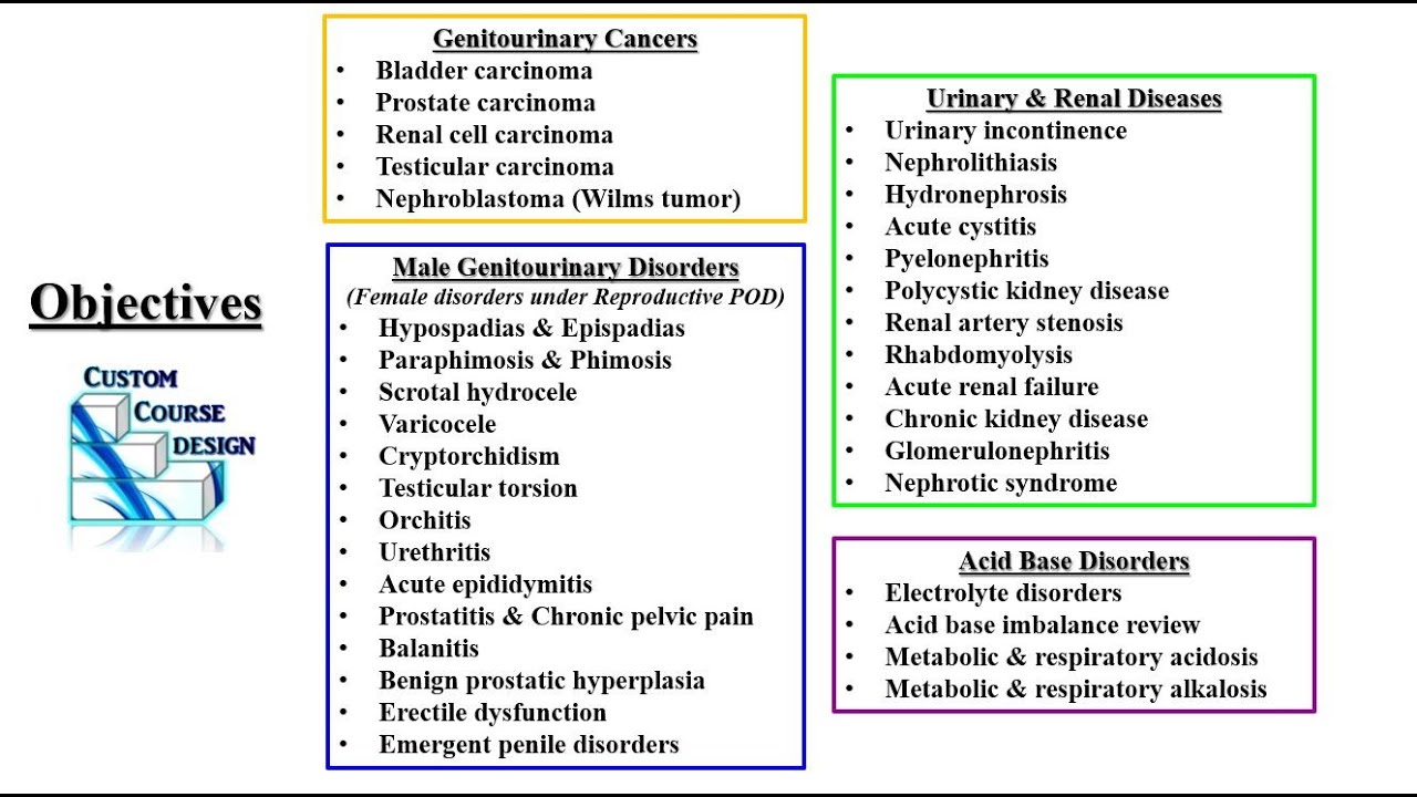 Renal Genitourinary Nephrology Acid Base Review PODs Part 1 PA NP Didactic PANCE PANRE