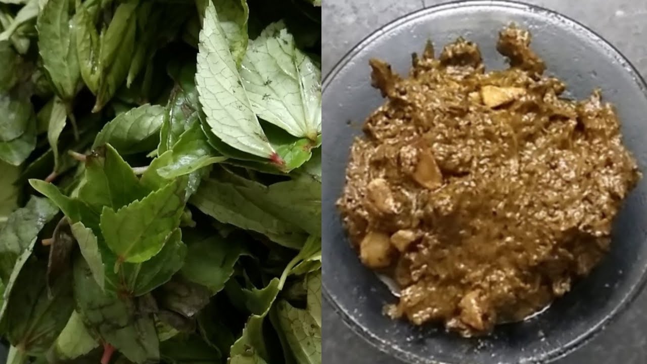 gongura pachadi recipe | Andhra special gongura chutney | ఆంధ్ర స్పెషల్ గోంగూర పచ్చడి ఇన్ తెలుగు