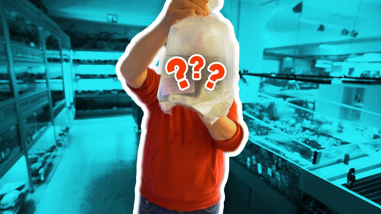 Aquarium Fisch Unboxing 📤