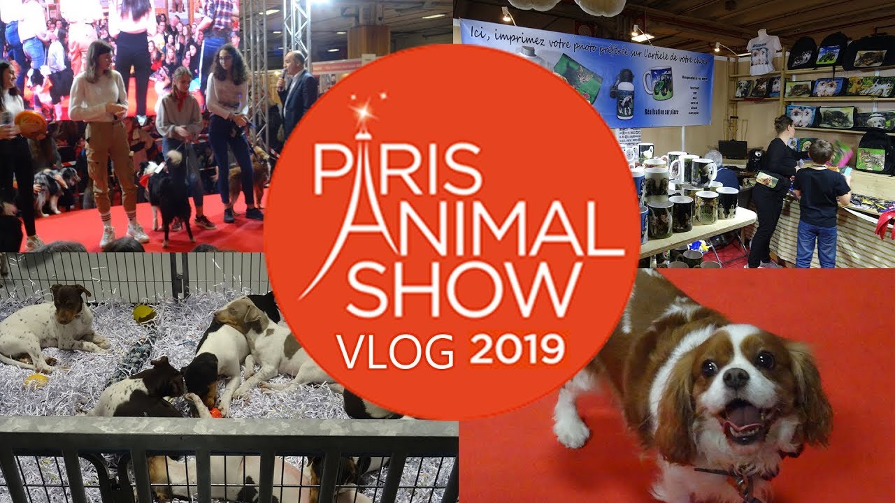 🐕🗼 DES CHIENS PARTOUT!! - VLOG PARIS ANIMAL SHOW 2019
