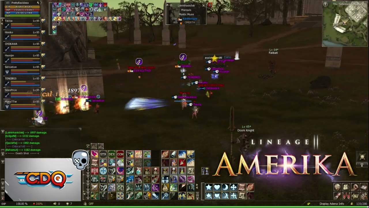Lineage II Amerika - PvP Zone - Blame Your Healers!