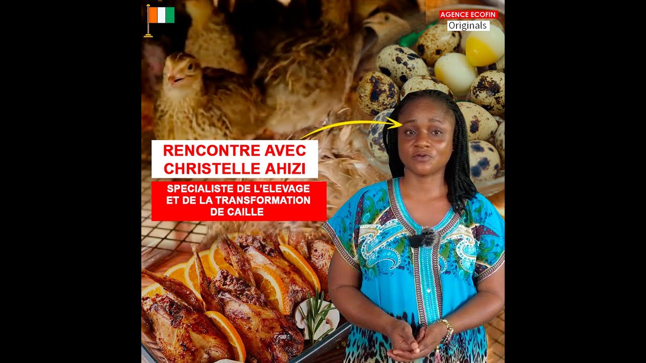 A la rencontre de l'ivoirienne Christelle Kablan Ahizi, spécialiste en coturniculture.