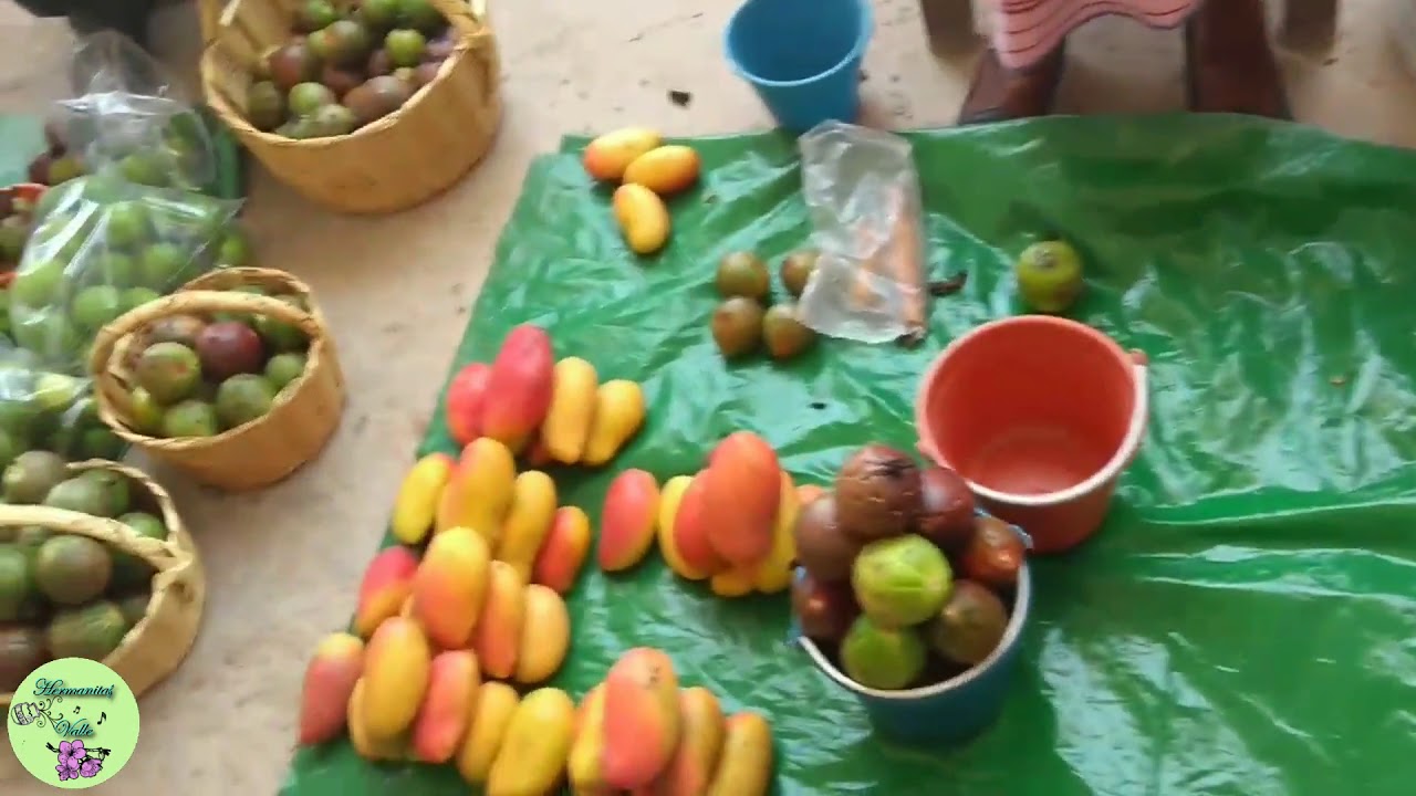 Cantando bajo los portales de Acatlán de Osorio - Hermanitas Valle