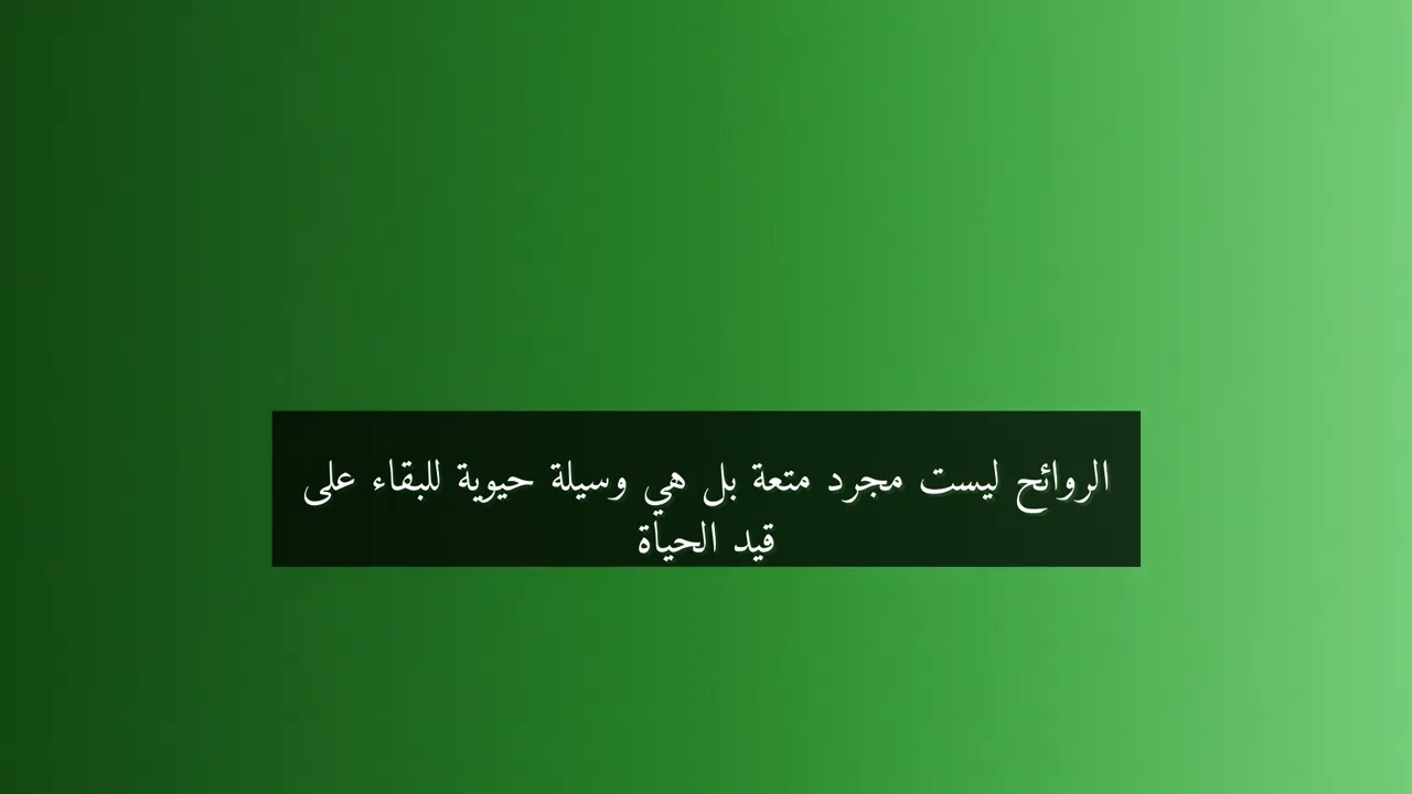 سر الروائح وكيف تميزها أنفك