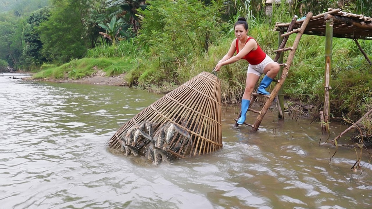 How To Make & Set Fish Traps - Harvest Lots Of Fresh Fish For Sale | Tiểu Dao