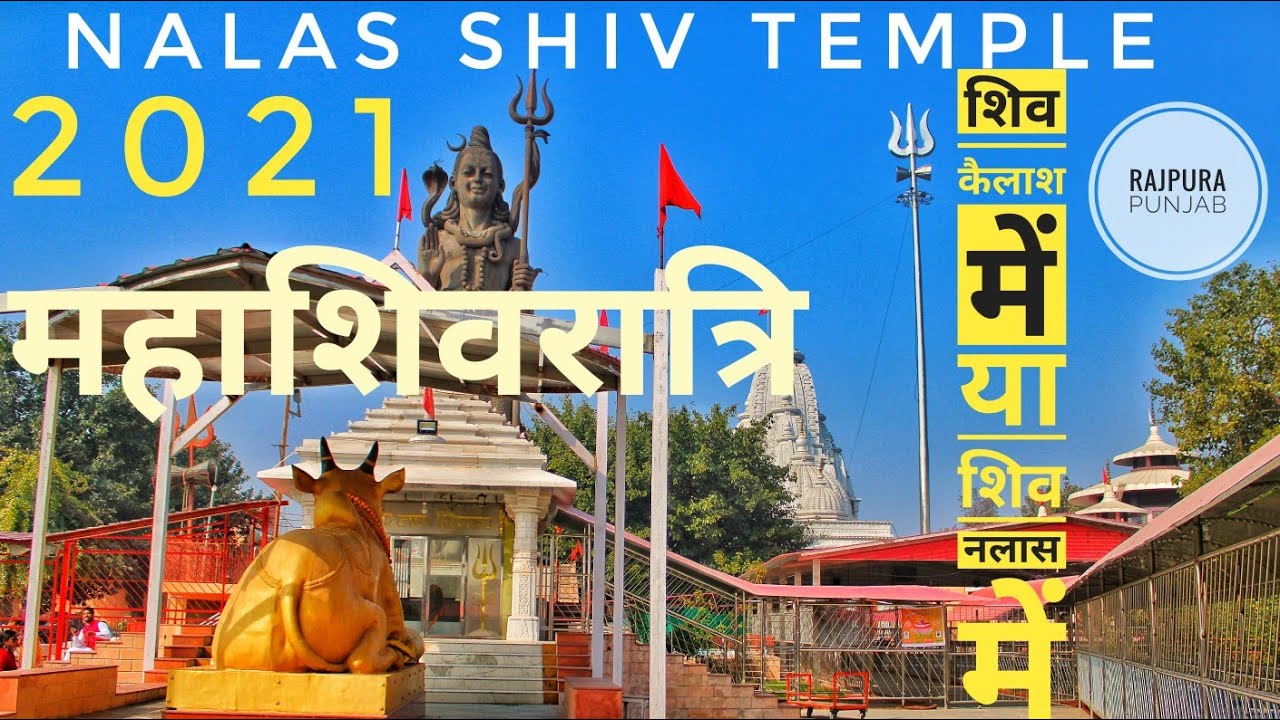 Nalas Shiv Temple Rajpura ||Maha Shivratri 2021|| शिव कैलाश मे या शिव नलास मे ..