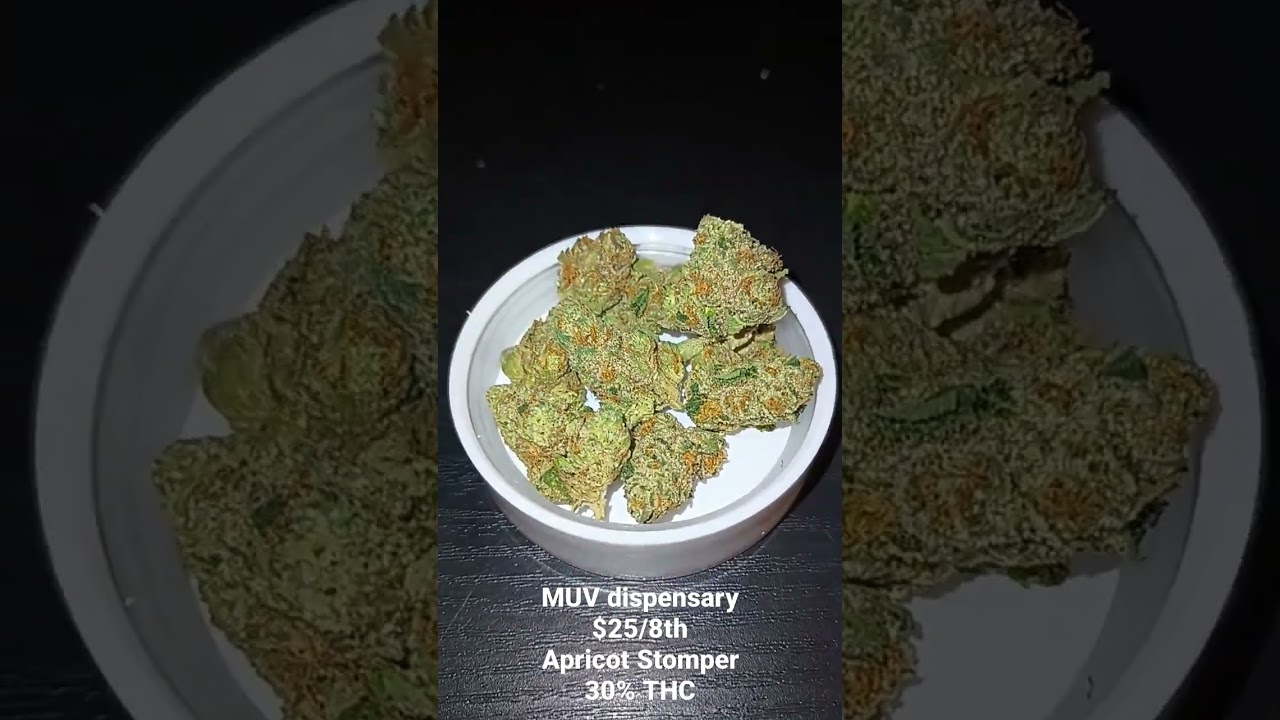 Apricot Stomper 30% THC (MUV dispensary)
