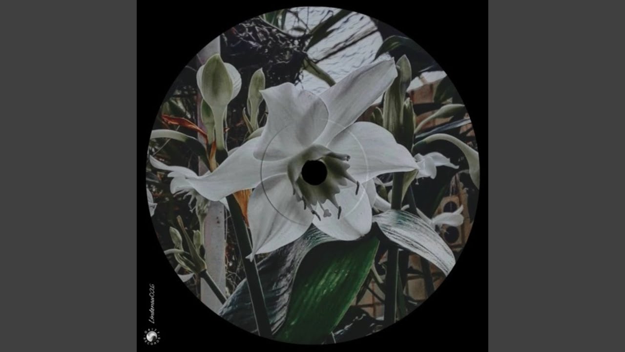 Time to Grow (Extended Mix)