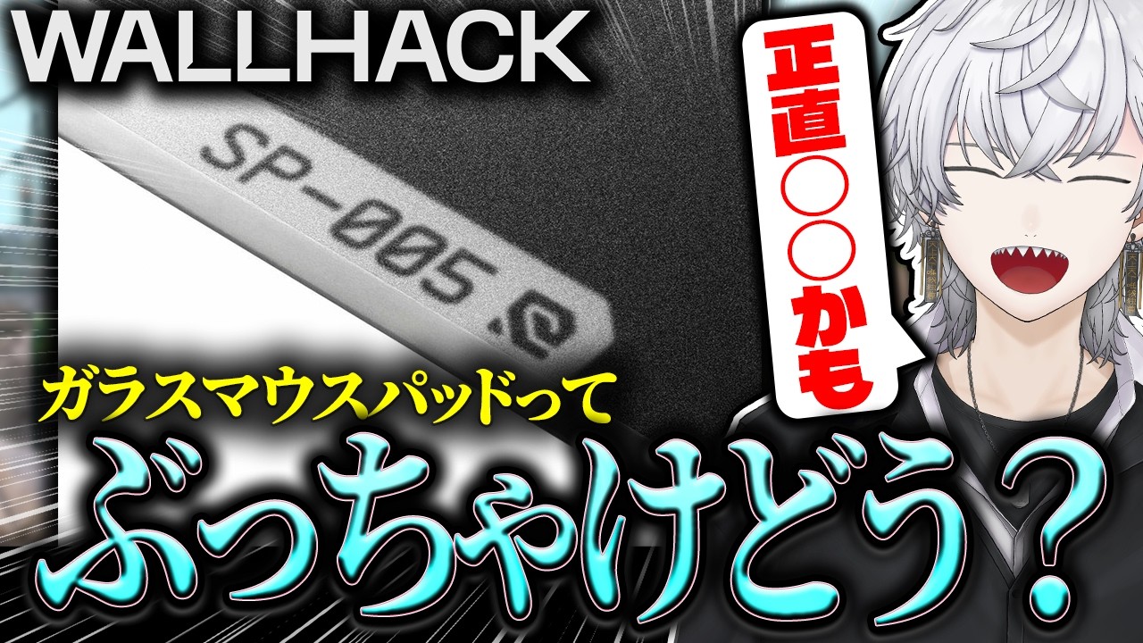 【WALLHACK SP-005】初ガラスマウスパッドを正直レビューしてみた!!【VALORANT】