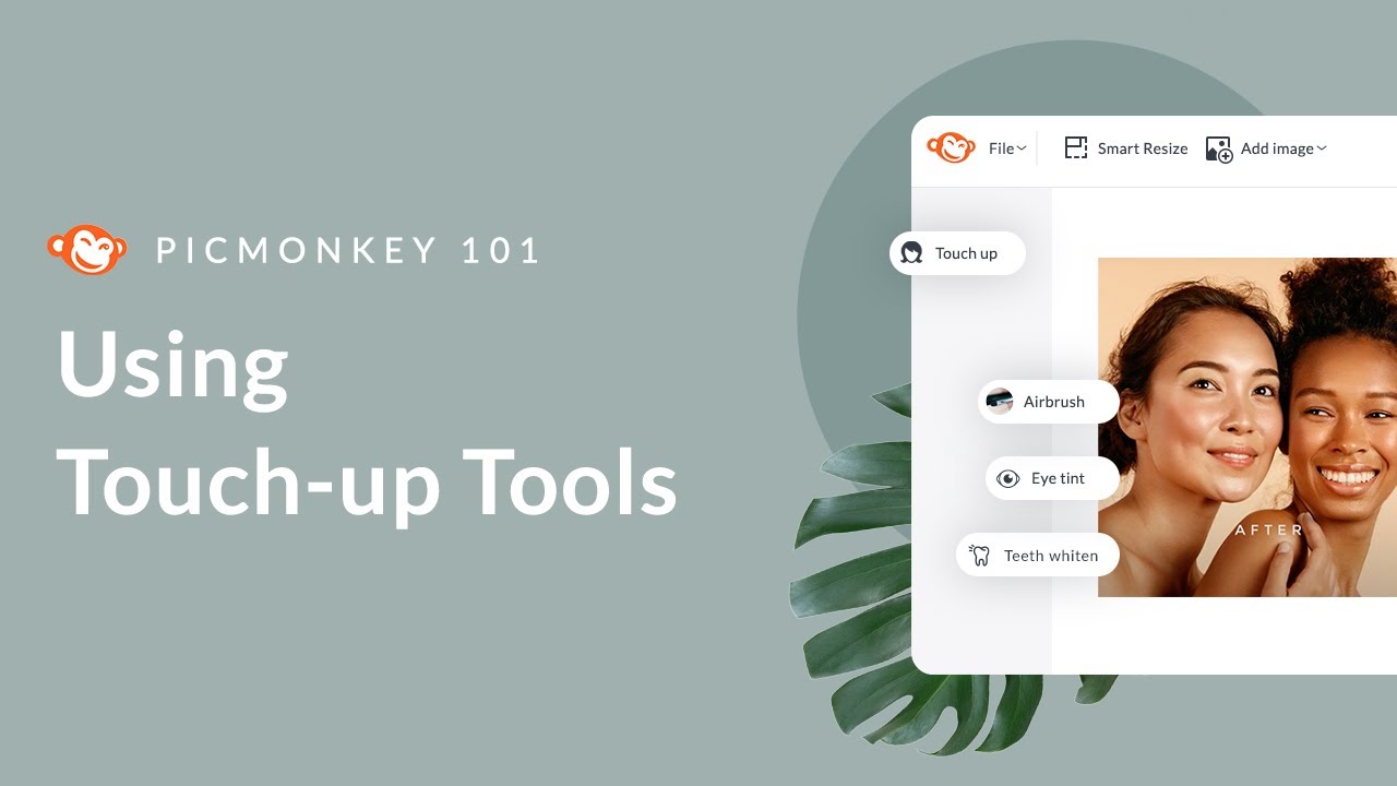 PicMonkey 101 | Using Touch-up Tools