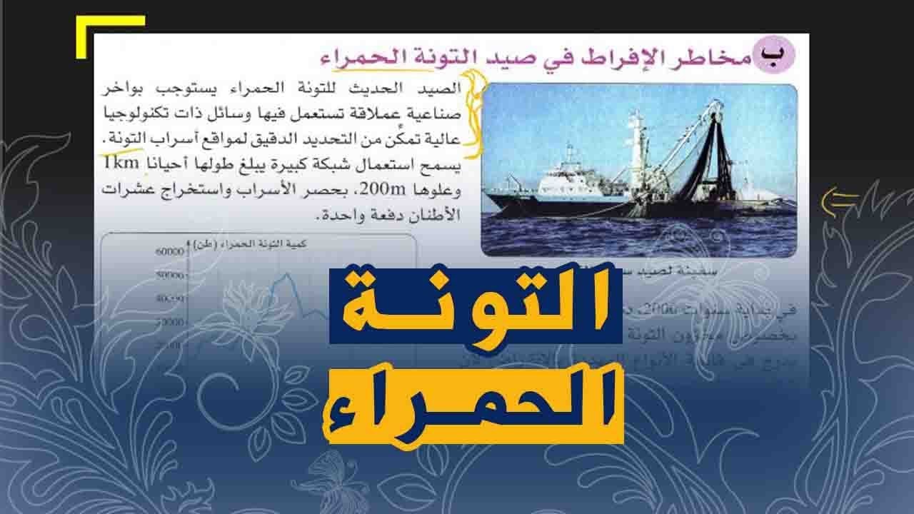 الدرس21:علوم طبيعية الثانية متوسط الإجراءات المتخذة لضمان بقاء نوع حيواني التونة الحمراء