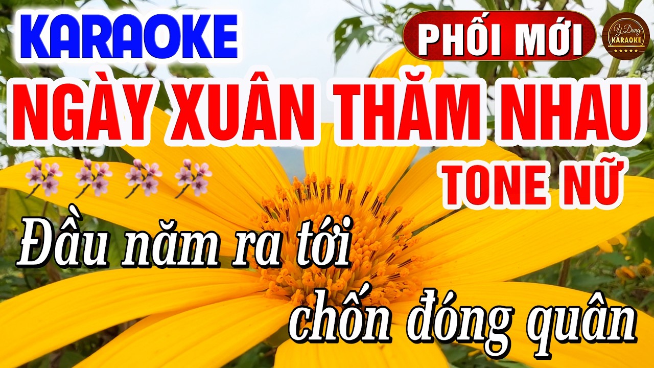 Ngày Xuân Thăm Nhau Karaoke Tone Nữ Dễ Hát 2026 | Y Dung Karaoke