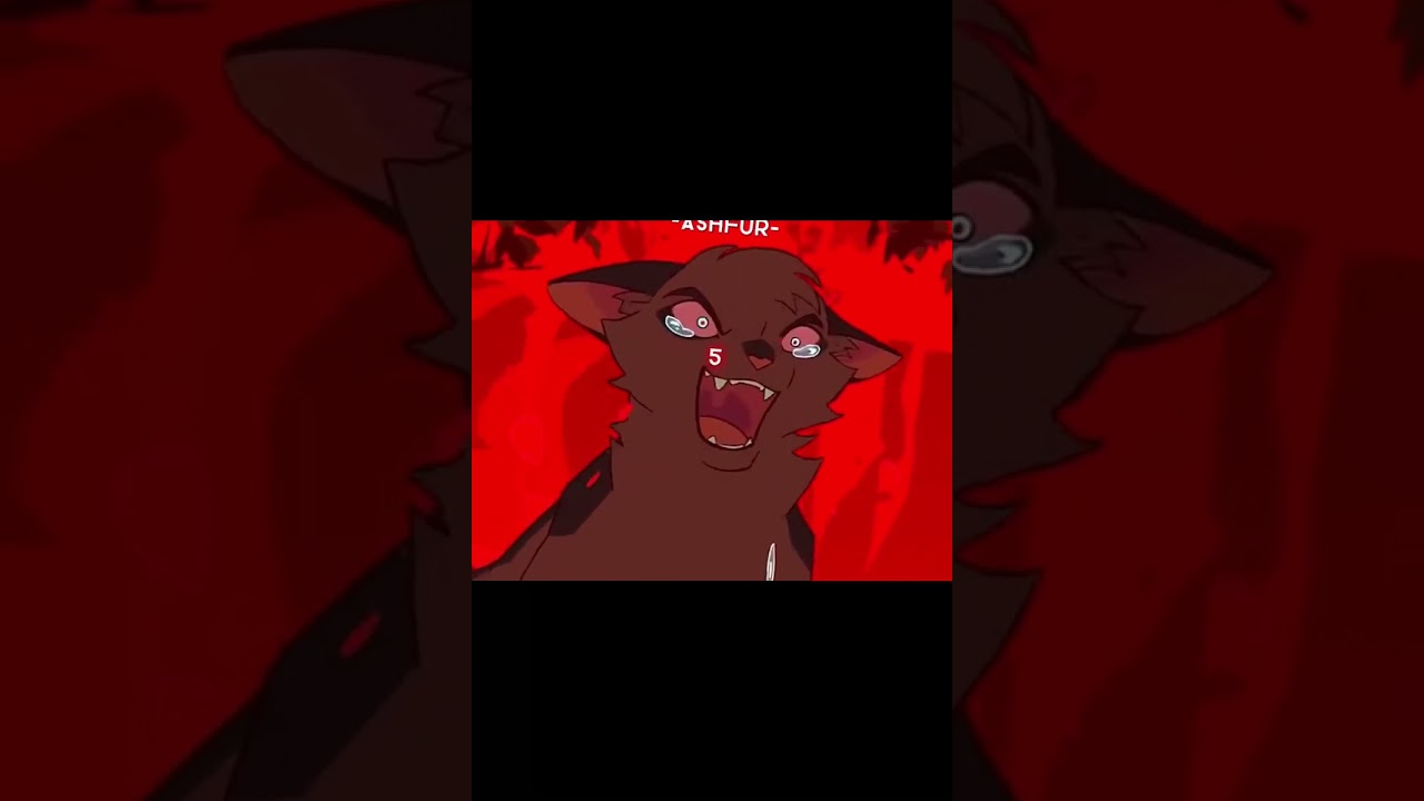 Warrior cats and there k!ll count // Credit in desc \\
