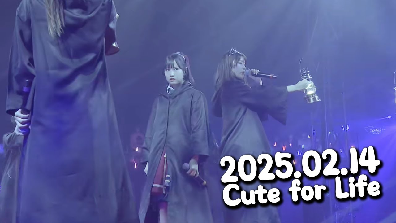 [한국어자막] 2025.02.14 Cute for Life