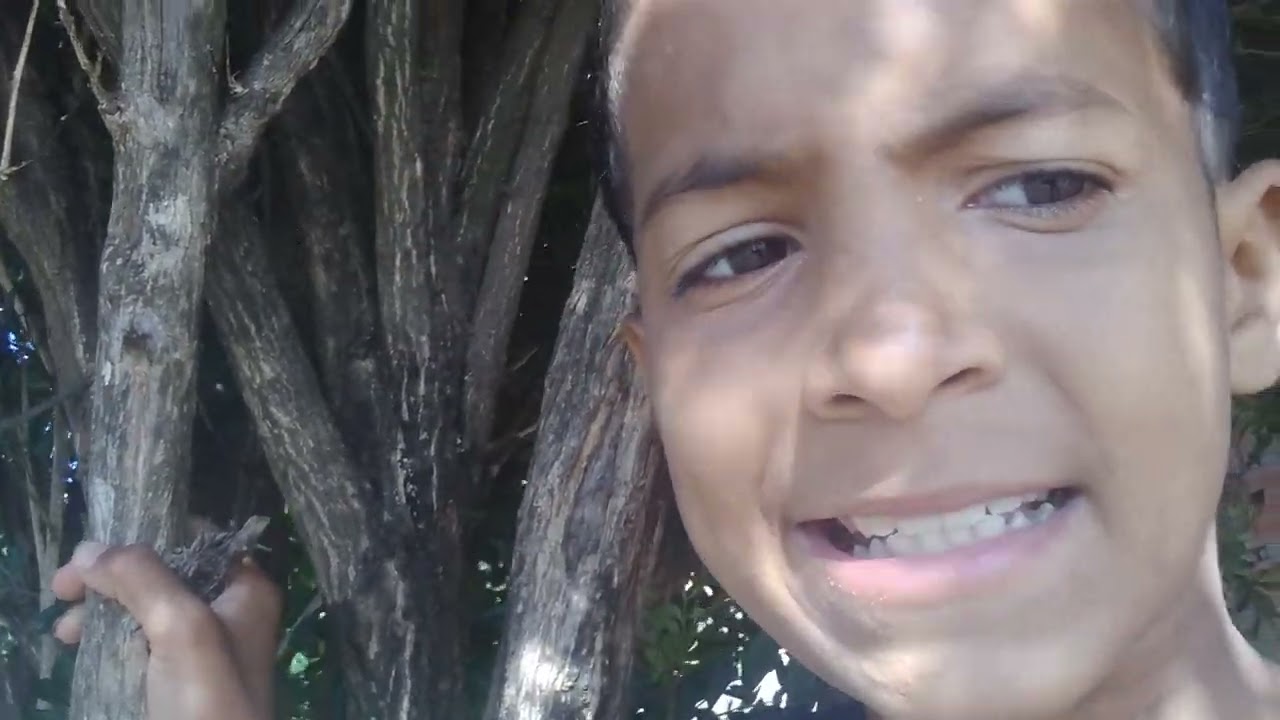 10 de fevereiro de 2026