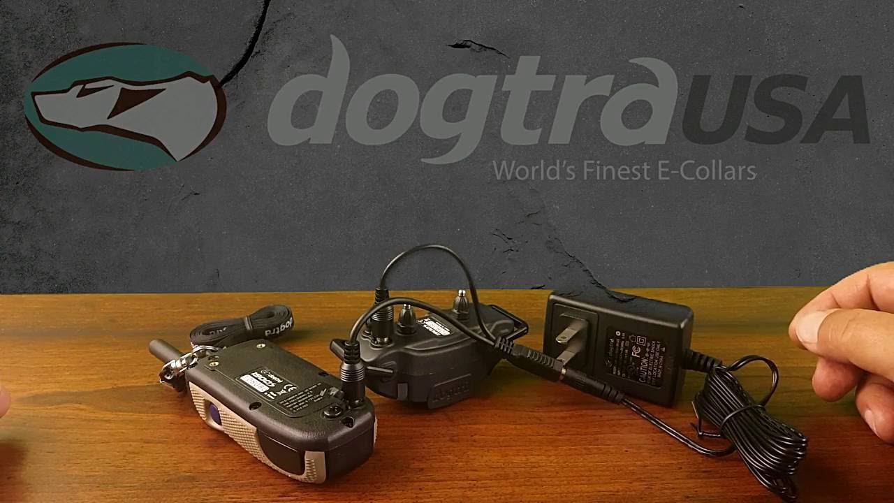 Dogtra 1900s - Remote E-Collar Review | DogtraUSA.com